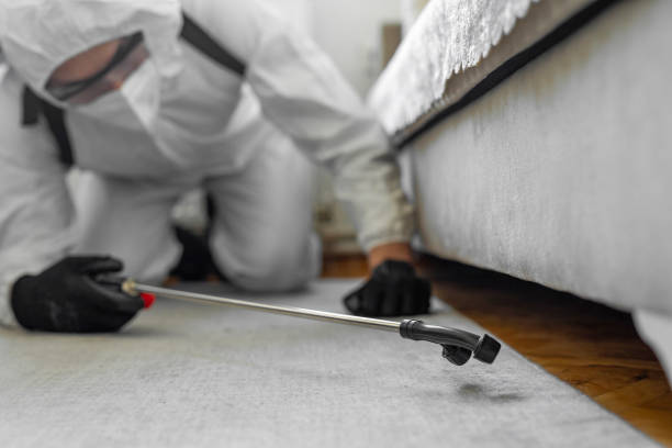 Professional Termite Control technician working in Edwards, MS