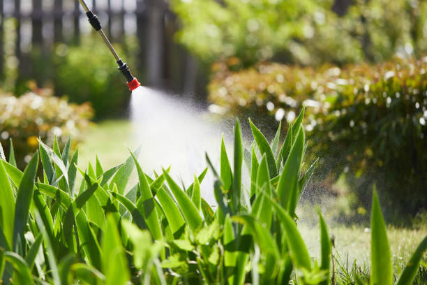 24/7 Emergency Termite Control experts in Edwards, MS