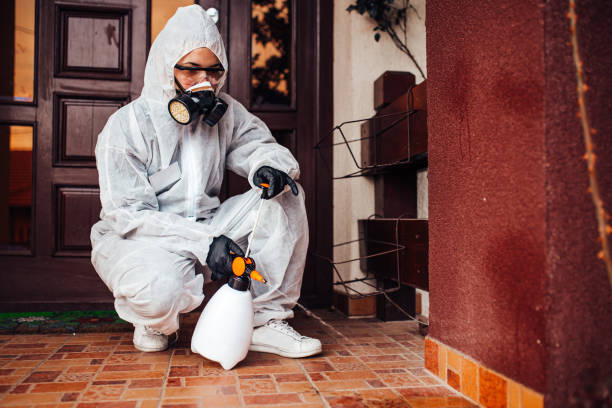 Reliable Termite Control contractor in Edwards, MS by Nex Pest Control