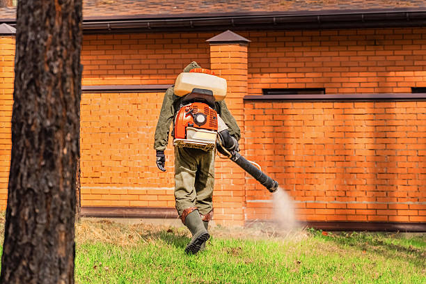 Top rated local Termite Control specialists in Edwards, MS
